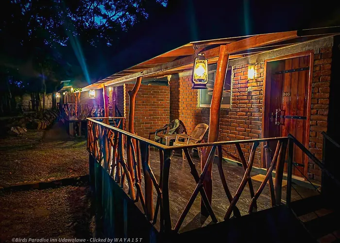 Birds Paradise Inn