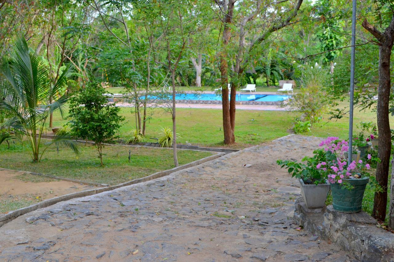 Inn Birds Paradise Udawalawe